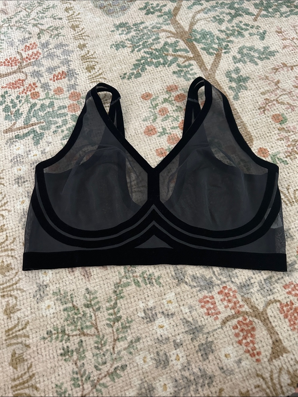 EBY Sheer Black Mesh Bralette with Velvet Trim